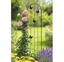 Treillis de jardin en métal avec motifs papillons et sommet arrondi, décoré de roses grimpantes.