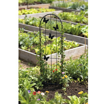 Treillis métallique avec papillons dans un parterre de jardin avec des plantes grimpantes.