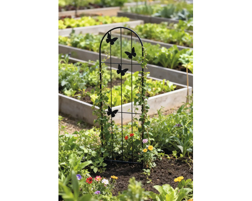 Treillis métallique avec papillons dans un parterre de jardin avec des plantes grimpantes.