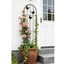 Support pour plantes grimpantes en métal noir avec des motifs de papillons, placé dans un pot en terre cuite avec des roses et du lierre.