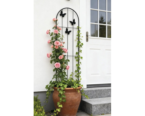 Support pour plantes grimpantes en métal noir avec des motifs de papillons, placé dans un pot en terre cuite avec des roses et du lierre.