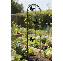 Support pour plantes grimpantes en métal noir avec motifs de papillons dans un jardin.