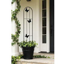Treillis en métal noir avec décorations de papillons, placé dans un pot de fleurs avec du lierre dans une entrée lumineuse.