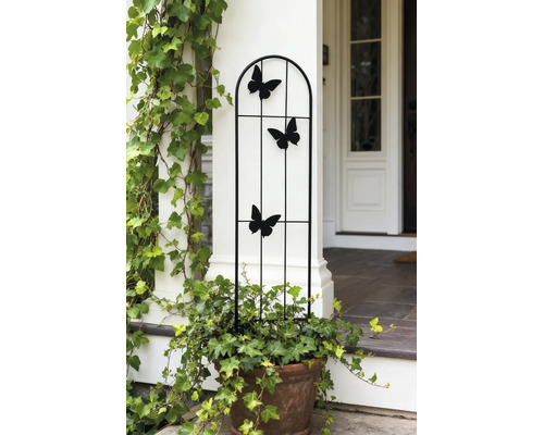 Support pour plantes grimpantes noir en métal avec trois papillons dans un pot en terre cuite avec du lierre devant une colonne blanche.