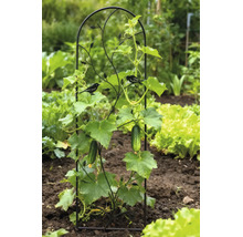 Treillage décoratif en métal noir avec motifs d'oiseaux dans un jardin lumineux, soutenant un plant de concombre en pleine croissance.