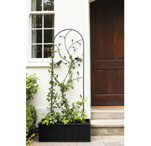 Treillis en métal noir avec motifs d oiseaux et de feuilles dans un bac à plantes noir à côté d une porte d entrée en bois et d une fenêtre.