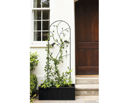 Treillis en métal noir avec motifs d oiseaux et de feuilles dans un bac à plantes noir à côté d une porte d entrée en bois et d une fenêtre.