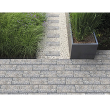 Aménagement de jardin moderne avec des pavés en béton, une allée en gravier avec des pas japonais, des graminées et un grand bac à fleurs.