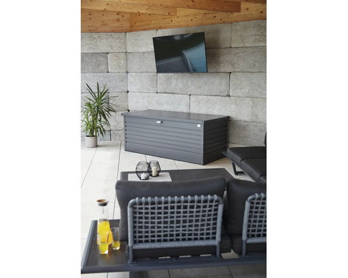 Biohort Auflagenbox FreizeitBox 180 800 L inkl. Gasdruckfedern dunkelgrau-metallic
