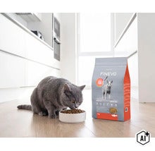 Chat gris mangeant des croquettes dans une gamelle à côté d'un paquet de nourriture pour chats Finevo dans une cuisine lumineuse. (Image AI modified or generated)