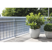 Balcon avec pare-vue en plastique sur une rambarde en métal, au premier plan deux pots de fleurs avec des plantes sur un sol en bois.