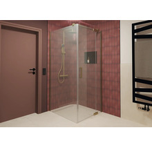 Douche d angle moderne avec éléments en verre et système de douche dans une salle de bain avec mur carrelé et niche intégrée.