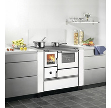 Cuisinière à bois moderne intégrée dans une cuisine fonctionnelle, équipée d'une plaque de cuisson, d'un foyer vitré et d'un four.