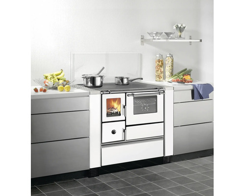 Cuisinière à bois moderne intégrée dans une cuisine fonctionnelle, équipée d'une plaque de cuisson, d'un foyer vitré et d'un four.