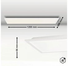 Rechteckiges LED Panel mit Maßangaben 1200 mm Länge, 300 mm Breite und 56 mm Höhe. (Image AI modified or generated)