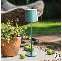 Lampe de table LED moderne pour le jardin avec pied fin et abat jour conique sur une table de jardin avec une plante et des citrons verts. (Image AI modified or generated)