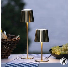 Zwei moderne LED Tischleuchten aus Metall in unterschiedlichen Höhen auf einem Tisch mit einem Korb und Weintrauben. (Image AI modified or generated)