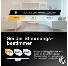 Infographie sur la fonction Color Toggle Switch avec trois couleurs de lumière réglables de blanc chaud à blanc froid pour l installation. (Image AI modified or generated)