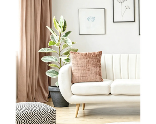 Coussin texturé sur un canapé blanc moderne dans un salon lumineux avec plante verte et rideaux