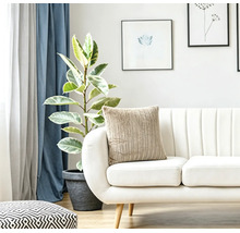 Salon lumineux avec canapé moderne, coussin texturé, plante d appartement et décorations murales pour une ambiance chaleureuse.