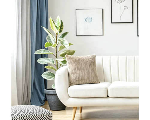 Salon lumineux avec canapé moderne, coussin texturé, plante d appartement et décorations murales pour une ambiance chaleureuse.