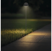 Moderne LED Außenleuchte auf einem Stab zur Gartenwegbeleuchtung bei Dunkelheit.