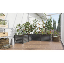 Jardinière surélevée en angle en métal dans une serre plantée de tomates et de poivrons.