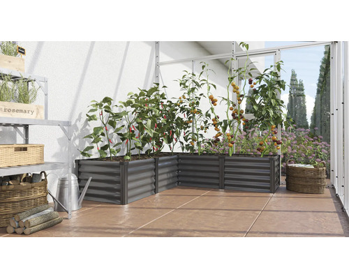 Jardinière surélevée en angle en métal dans une serre plantée de tomates et de poivrons.