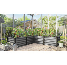 Carré potager surélevé en métal en forme de L dans une serre avec des plants de tomates, des outils de jardinage et un arrosoir sur un sol en bois.