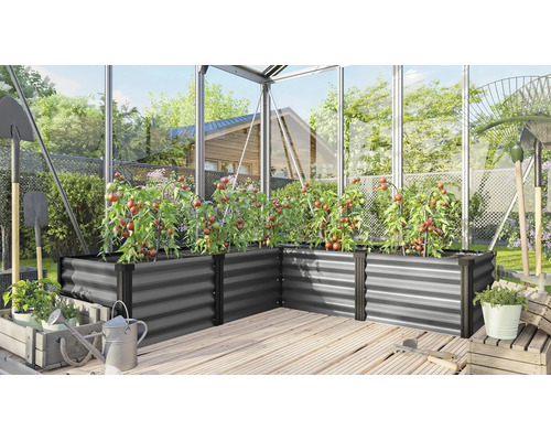 Carré potager surélevé en métal en forme de L dans une serre avec des plants de tomates, des outils de jardinage et un arrosoir sur un sol en bois.