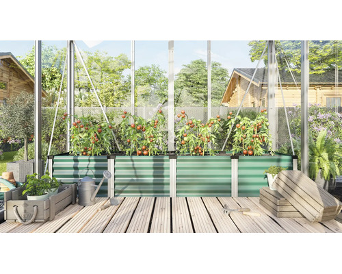 Ein Hochbeet aus Metall in einem Gewächshaus, bepflanzt mit Tomaten, umgeben von Gartenwerkzeugen und Holzkisten auf einem Holzboden.