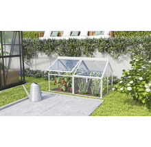 Ein kleines Frühbeet aus Aluminium und transparenten Platten steht in einem gepflegten Garten vor einer Mauer mit Pflanzen.