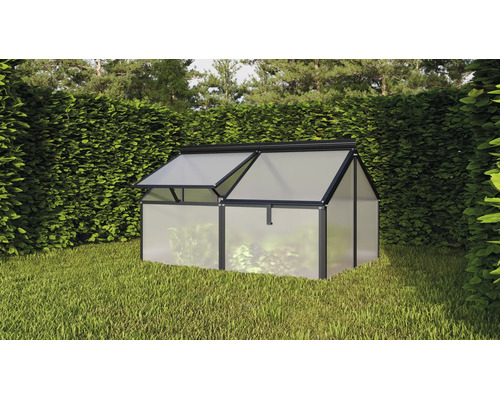 Ein kleines Gewächshaus mit Aluminiumrahmen und Hohlkammerplatten steht im Garten vor einer Hecke.