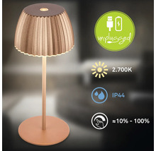 Dekorative Tischleuchte mit Akkubetrieb, 2700 Kelvin warmweißem Licht, IP44 Spritzwasserschutz und stufenloser Dimmfunktion von 10 bis 100 Prozent.