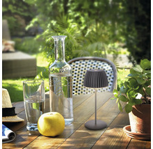 Moderne LED Tischleuchte für den Außenbereich auf einem Holztisch mit Glas Flasche Apfel und Pflanze im Garten bei Tageslicht