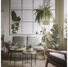 Salon lumineux avec canapé, tables d'appoint et lampadaire avec abat-jour devant une grande fenêtre avec de nombreuses plantes d'intérieur.