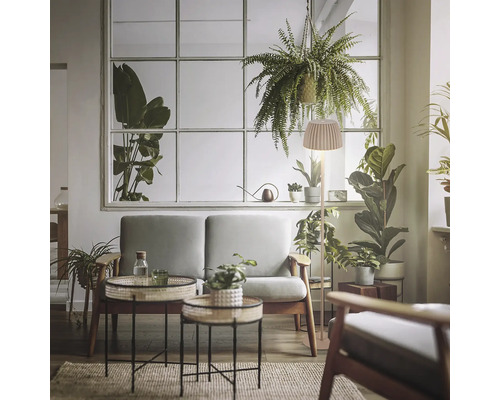 Salon lumineux avec canapé, tables d'appoint et lampadaire avec abat-jour devant une grande fenêtre avec de nombreuses plantes d'intérieur.