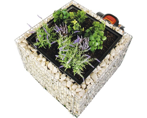 Jardinière surélevée en gabion avec plantes et pierres