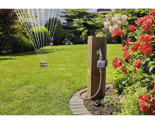 Arrosage de jardin avec programmateur d arrosage Gardena sur un poteau en bois, arroseur de pelouse et roses en fleurs.