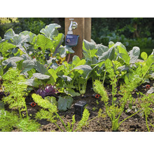 Système d'arrosage automatique Gardena dans un potager avec ordinateur d'arrosage et capteur d'humidité du sol raccordés.