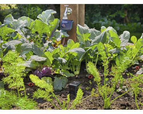 Système d'arrosage automatique Gardena dans un potager avec ordinateur d'arrosage et capteur d'humidité du sol raccordés.