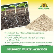 Neudorf Neudofix Wurzelaktivator als Pulver zur Unterstützung der Wurzelbildung bei Stecklingen und nach dem Umtopfen von Pflanzen.