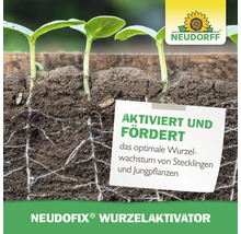 Neudorff Neudofix Wurzelaktivator für das Wurzelwachstum von Stecklingen und Jungpflanzen mit Neudorff Logo