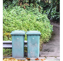 Zwei Abfalltonnen mit Deckel auf Rollen vor einer Hecke