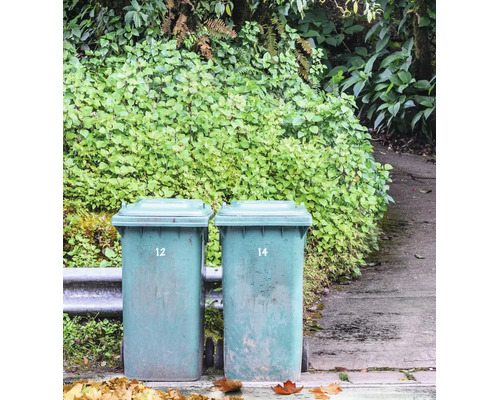 Zwei Abfalltonnen mit Deckel auf Rollen vor einer Hecke