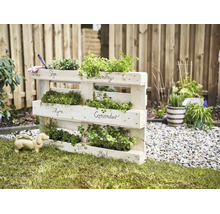 Holzpaletten Kräuterregal für den Garten mit beschrifteten Fächern für verschiedene Kräuterarten.