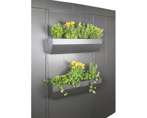 Deux jardinières en métal montées au mur, garnies de diverses fleurs et herbes pour le jardinage vertical.