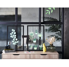 Deux cadres en verre noirs décorés de dessins de plantes, posés sur une commode claire avec des objets décoratifs devant une paroi vitrée.