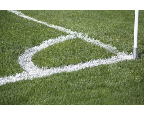 Fussballfeld Ecke mit Eckfahne und Markierungslinien