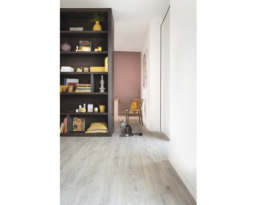 Heller Raum mit Bücherregal, Stuhl und Katze auf Laminatboden